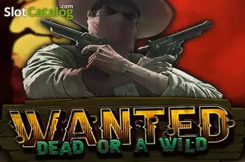 Cowboy western con stelle filanti selvagge